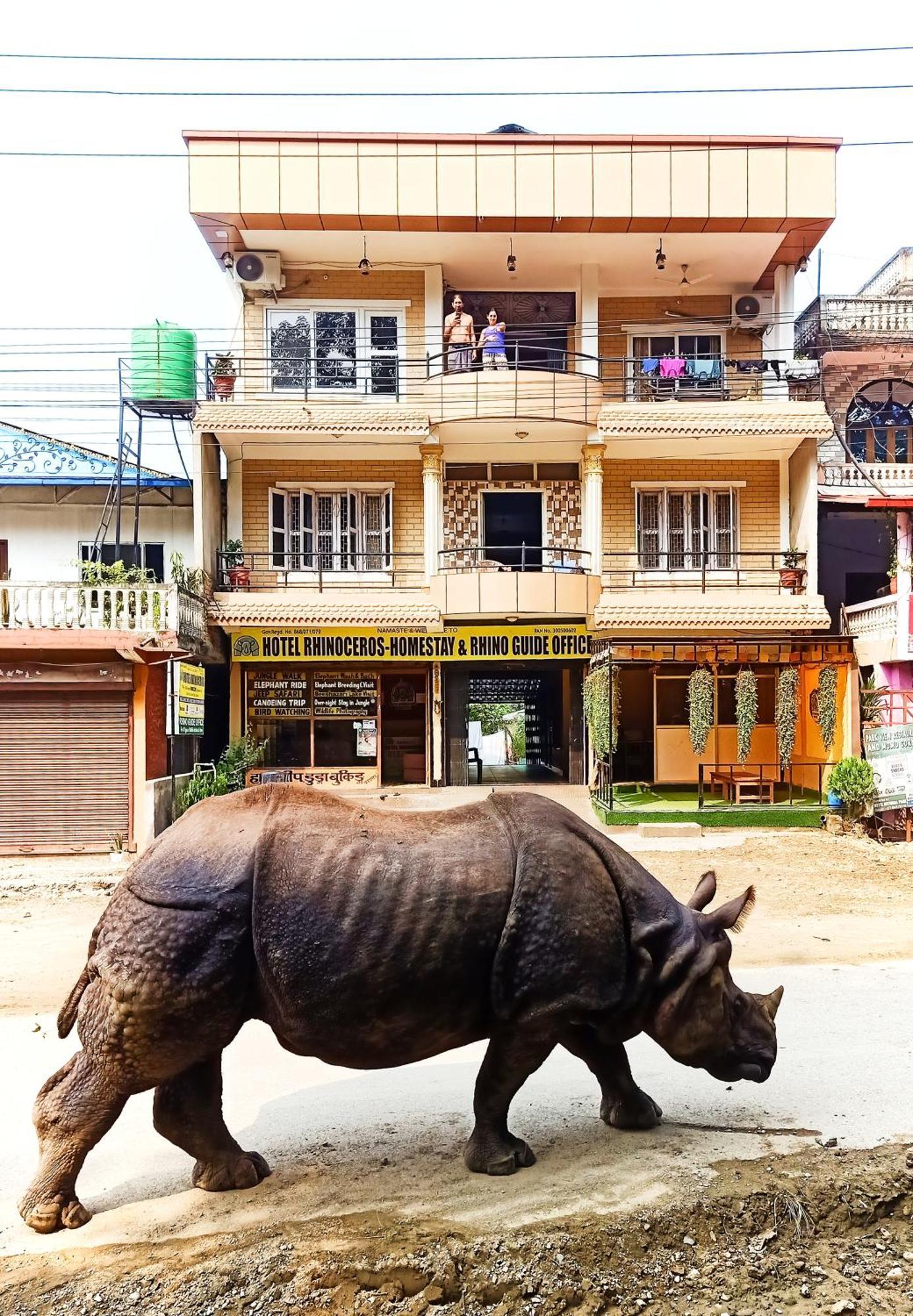 Hotel Rhinoceros-Homestay Sauraha Exterior foto